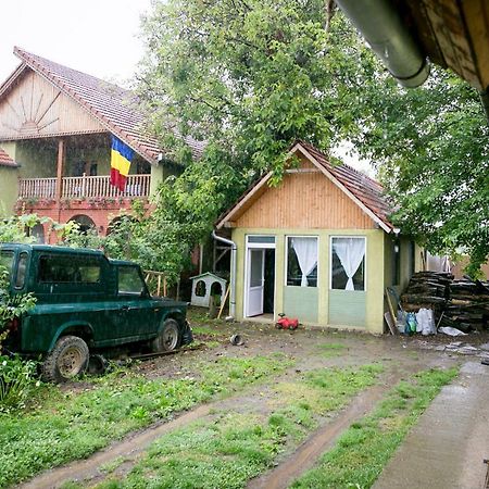 Pensiune Muzeu Traditional Poveste In Transilvania Sighişoara Buitenkant foto