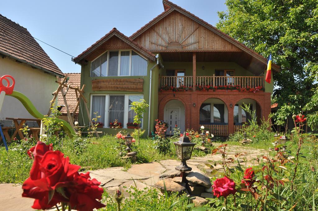 Pensiune Muzeu Traditional Poveste In Transilvania Sighişoara Buitenkant foto