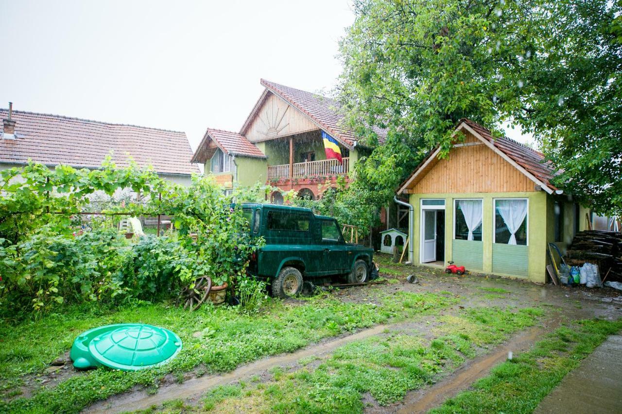Pensiune Muzeu Traditional Poveste In Transilvania Sighişoara Buitenkant foto